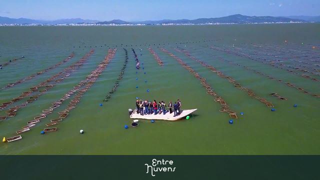 Fazenda marinha Horizontal  — vídeo aéreo de Florianópolis