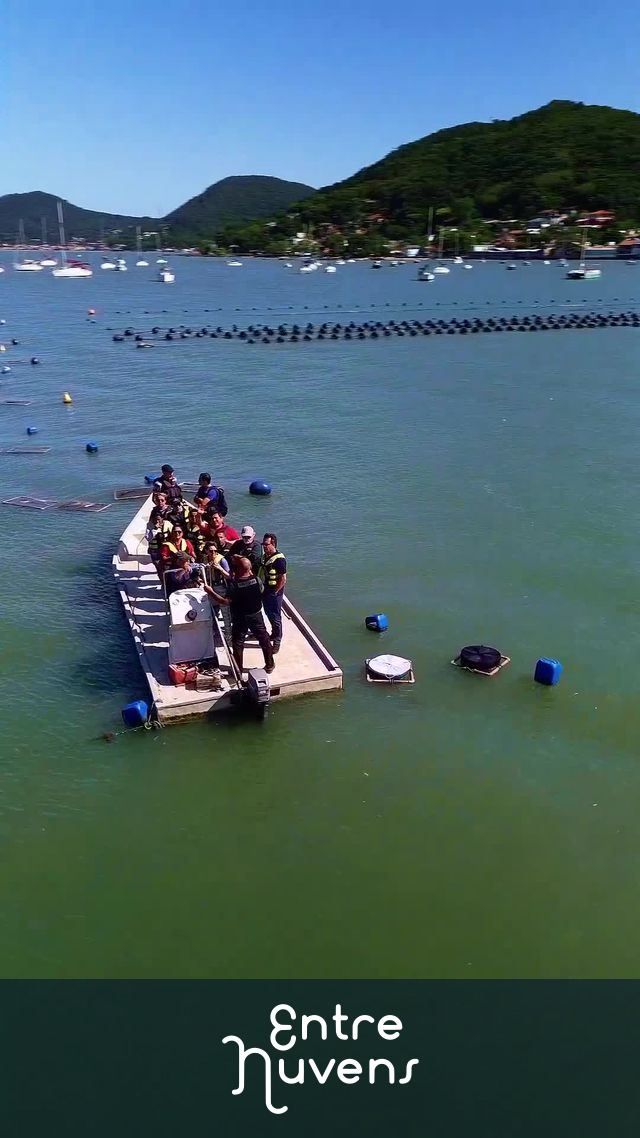Fazenda marinha  — vídeo aéreo de Florianópolis