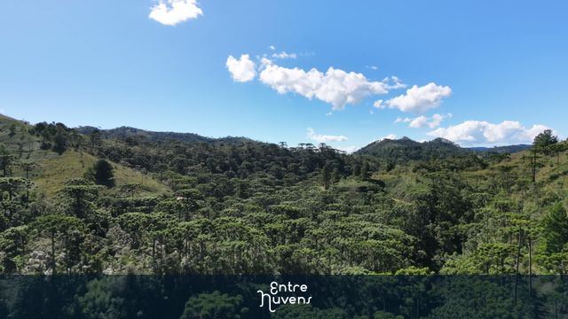 Floresta de Araucárias e Montanhas Verdes sob Céu Azul — vídeo aéreo de São Bento do Sapucaí