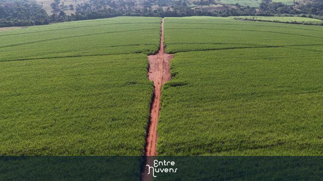 GOIÁS - PLANTAÇÃO DE CANA — vídeo aéreo de Americano do Brasil