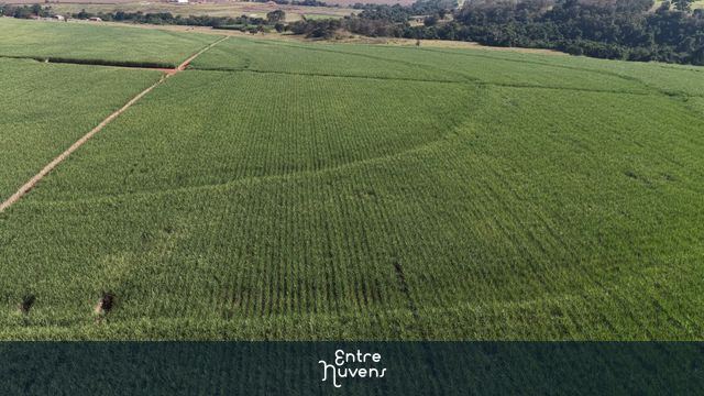 GOIÁS - PLANTAÇÃO DE CANA — vídeo aéreo de Americano do Brasil