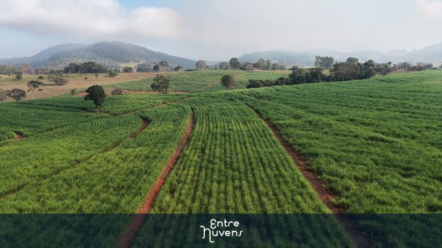GOIÁS - PLANTAÇÃO DE CANA — vídeo aéreo de Americano do Brasil