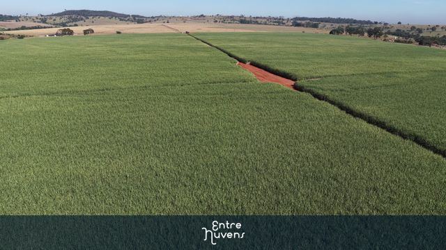 GOIÁS - PLANTAÇÃO DE CANA — vídeo aéreo de Americano do Brasil