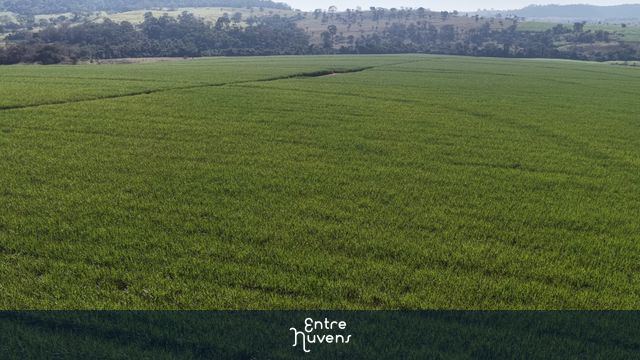 GOIÁS - PLANTAÇÃO DE CANA — vídeo aéreo de Americano do Brasil