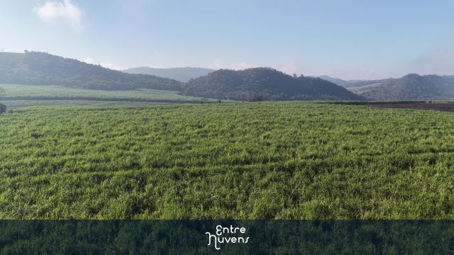 GOIÁS - PLANTAÇÃO DE CANA — vídeo aéreo de Americano do Brasil