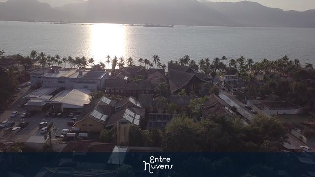  Golden Hour Indo a direção ao mar passando por palmeiras no pôr do sol