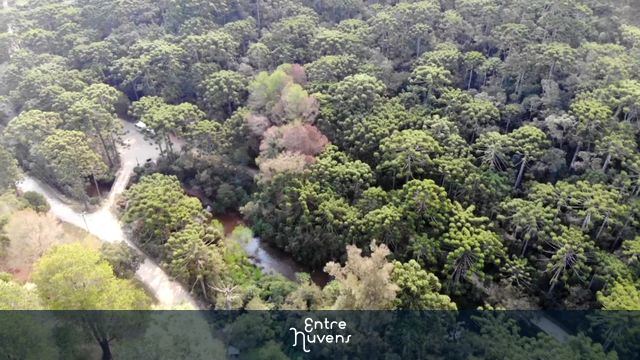 Horto Florestal - Campos do Jordão-SP
