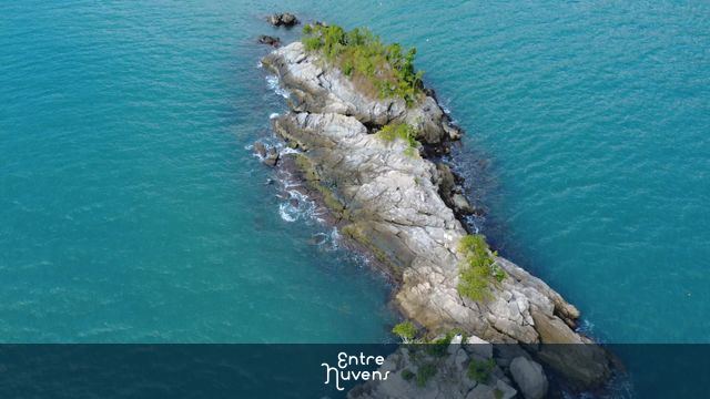 Ilha das Tartarugas