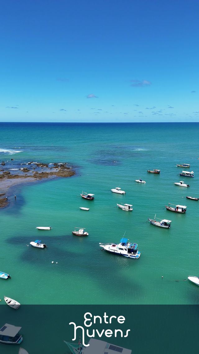 Imagem da Praia do Forte, Mata de São João, Litoral Norte, Bahia. Praia, corais, piscinas naturais e Mar. 