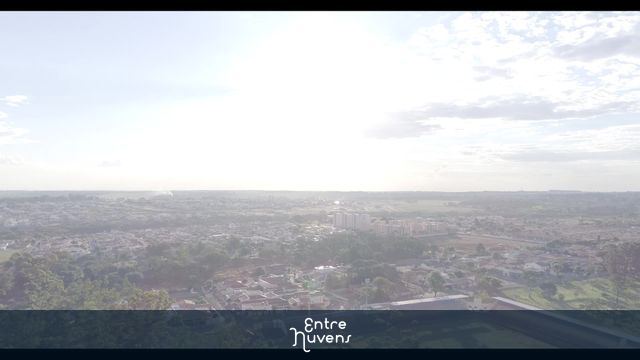 Imagem de árvores com sol atrás