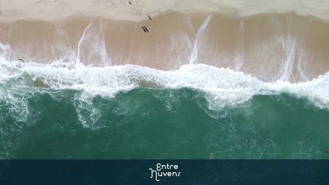 Imagem linda, a entrada na praia em 4K