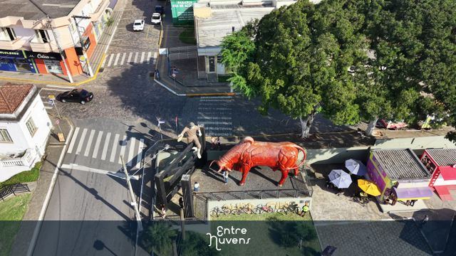 Imagens de Ouro Fino -MG- Menino da Porteira