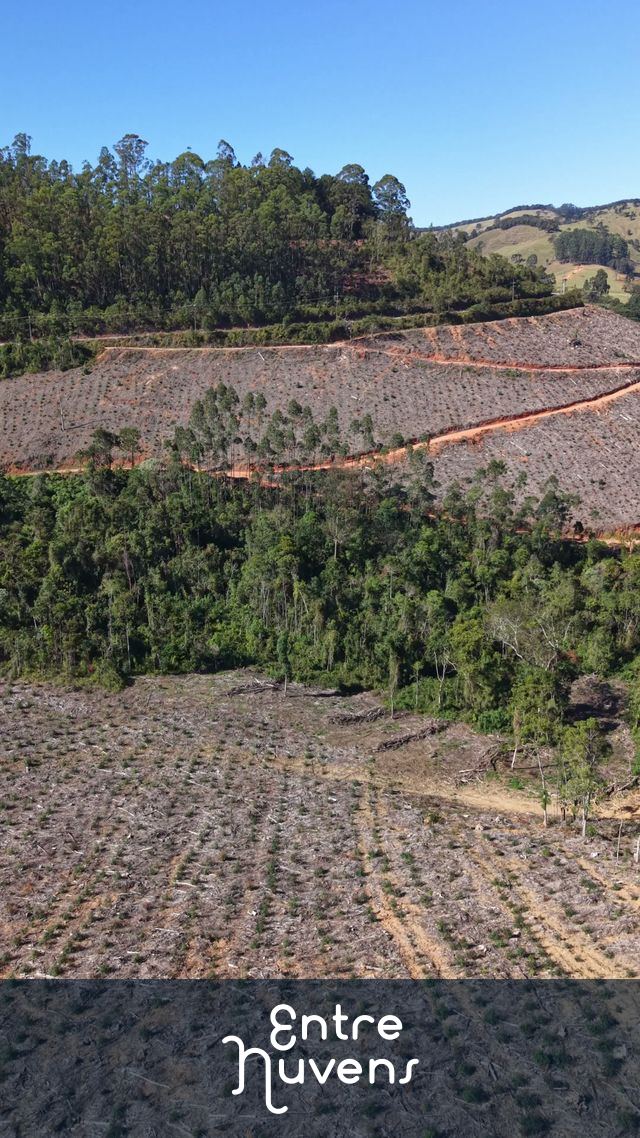 Impactos do Desmatamento e Manejo Florestal em Áreas de Relevo