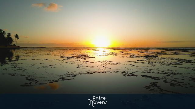 Incrível nascer do sol na linda praia do forte na Bahia