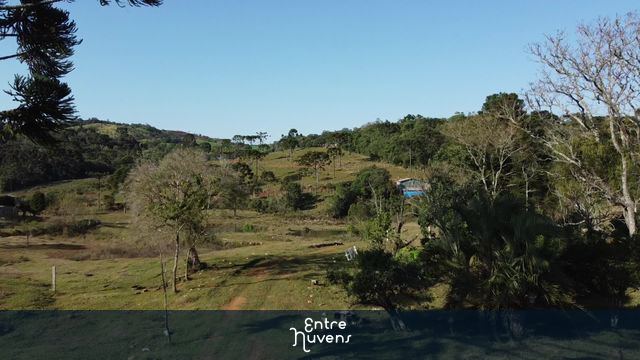 Interior - Pinheiros - Paraná - Natureza  — vídeo aéreo de Cândido de Abreu