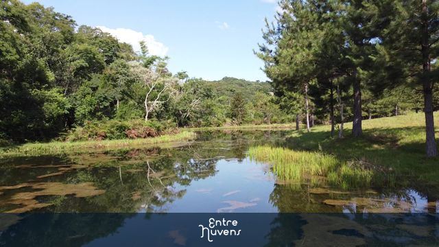Lago com árvores — vídeo aéreo de Tamarana