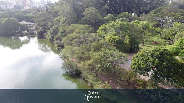 Lago Ibirapuera