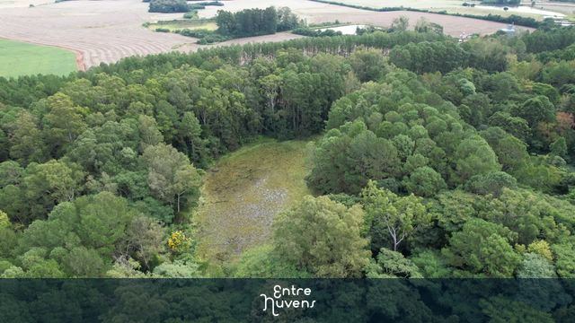 Lago Parque Witeck — vídeo aéreo de Novo Cabrais