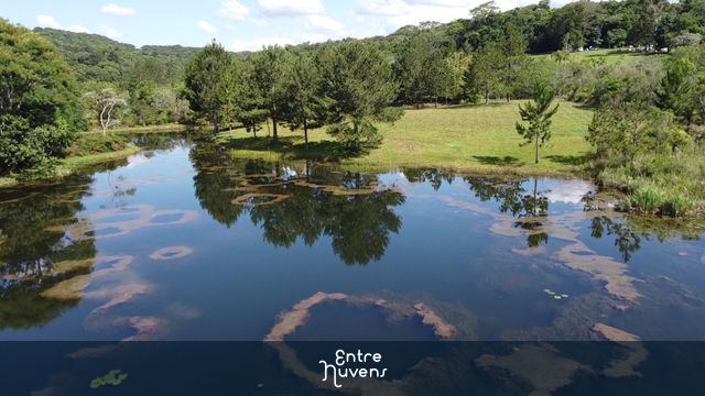 Lago — vídeo aéreo de Tamarana