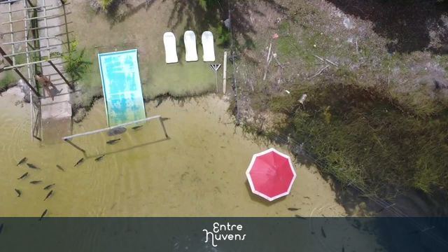 LAGOA DOS TAMBAQUIZ — vídeo aéreo de Estância