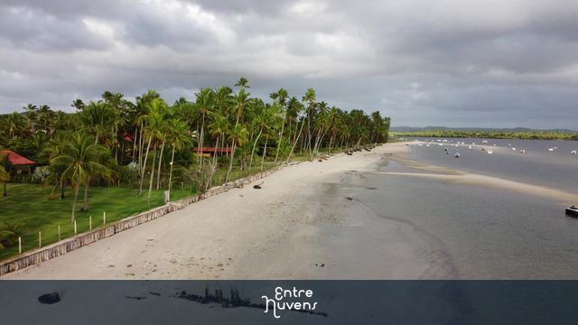 Linda imagem da Praia dos Carneiros em maré baixa — vídeo aéreo de Tamandaré