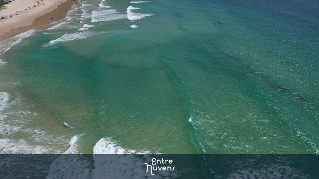 Mar Praia Brava