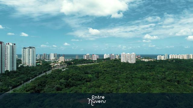 Mata atlântica e skyline à beira-mar