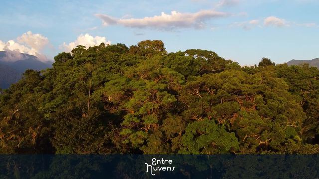 Mata Atlântica — vídeo aéreo de Angra dos Reis