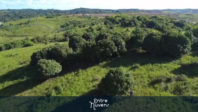Montanha — vídeo aéreo de Cabo de Santo Agostinho