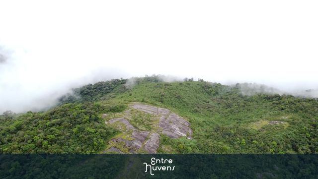 Monte Verde