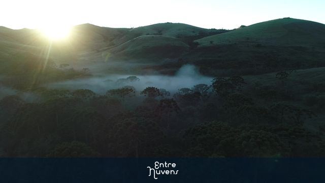 Nascer do Sol Floresta