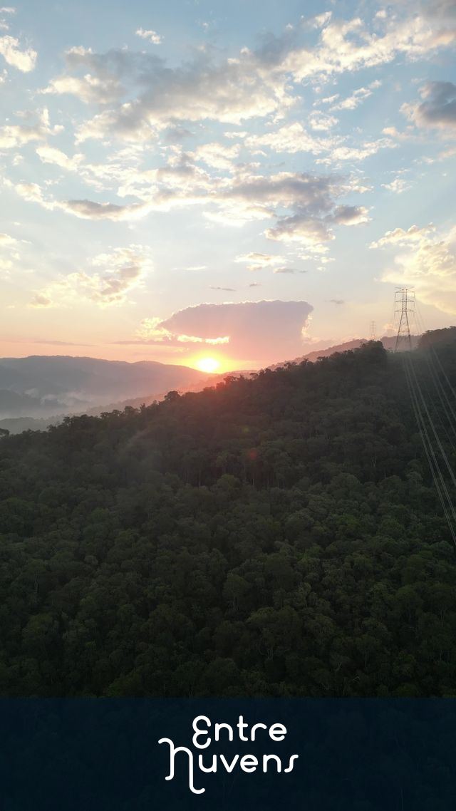 Nascer do sol sobre floresta e torres de energia
