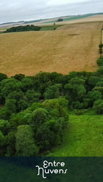 Natureza  — vídeo aéreo de Boa Vista do Incra