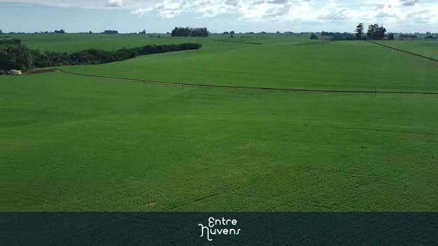 Natureza com Campos  — vídeo aéreo de Boa Vista do Incra
