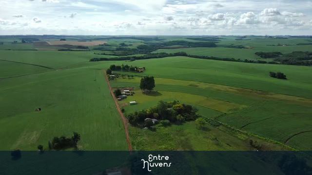 Natureza do interior da cidade  — vídeo aéreo de Boa Vista do Incra