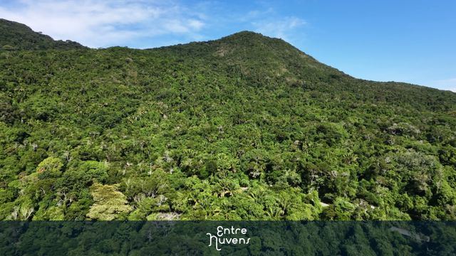 Paisagem exuberante de floresta densa em encostas de montanha — vídeo aéreo de Ilhabela
