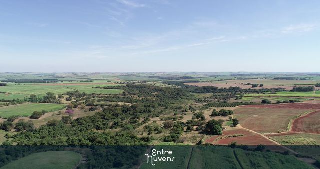 Paisagem verde em pan