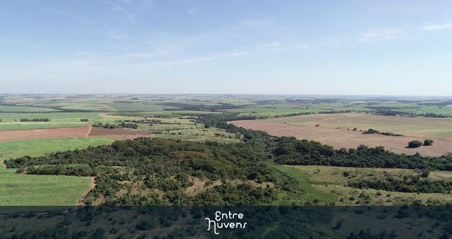 Paisagem verde