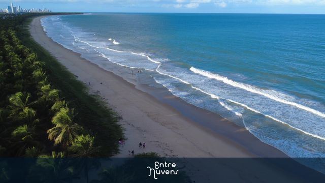 Paiva- praia completa — vídeo aéreo de Cabo de Santo Agostinho