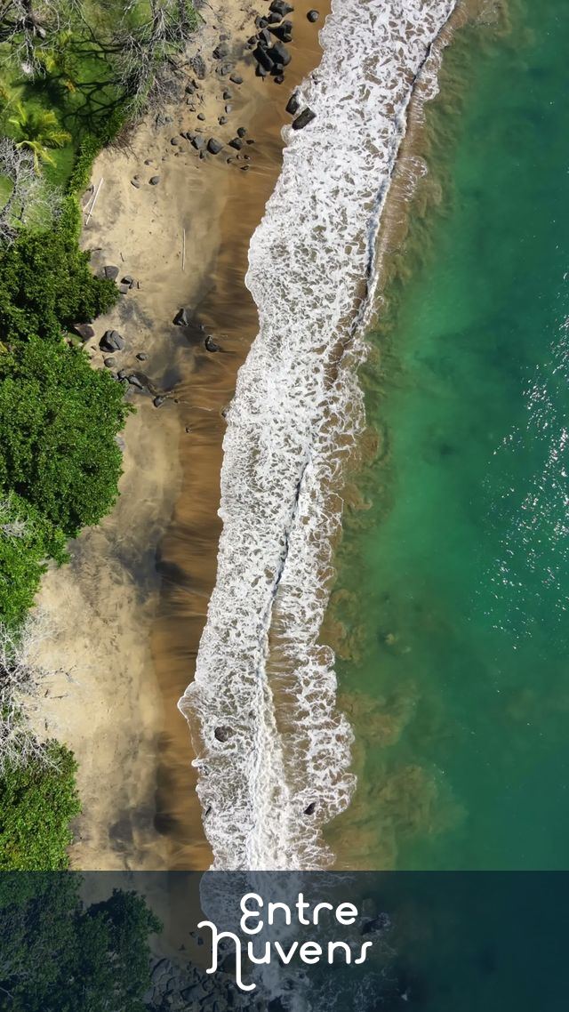 Paraíso Escondido: Vista aérea de uma praia paradisíaca no Brasil — vídeo aéreo de Ilhabela