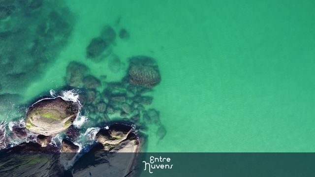 Paraíso verde no Rio 