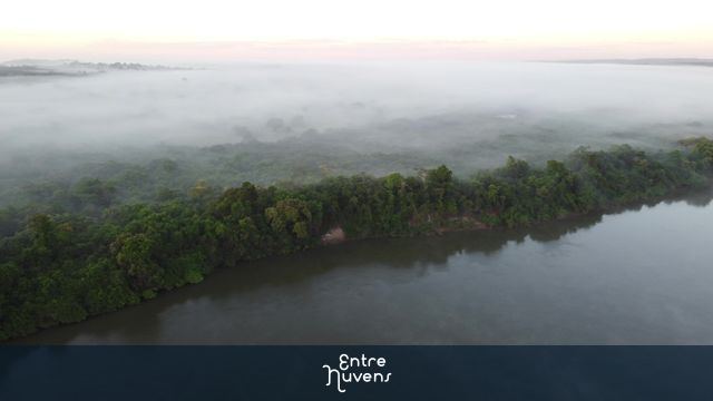 Paredão de floresta coberta por um belo nascer do dia ás margens do rio Araguaia — vídeo aéreo de Ananás
