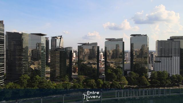 Parque da Cidade ao lado da Marginal Pinheiros