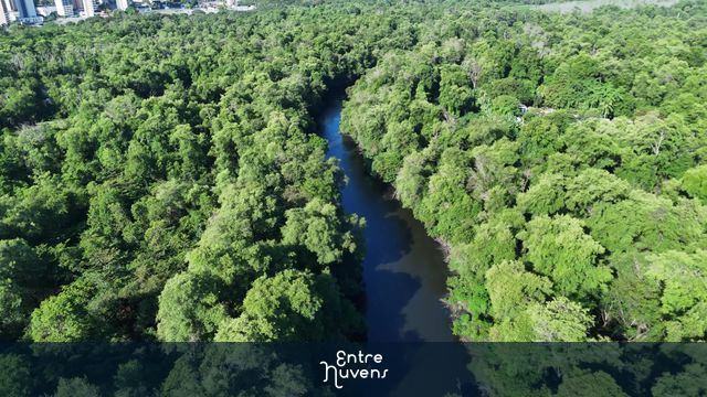 Parque ecológico