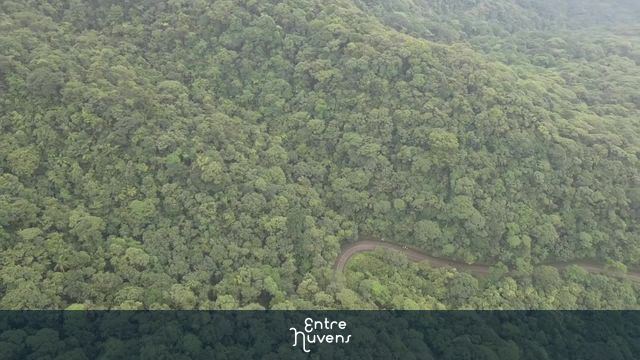 Parque Ecologico do Imigrantes
