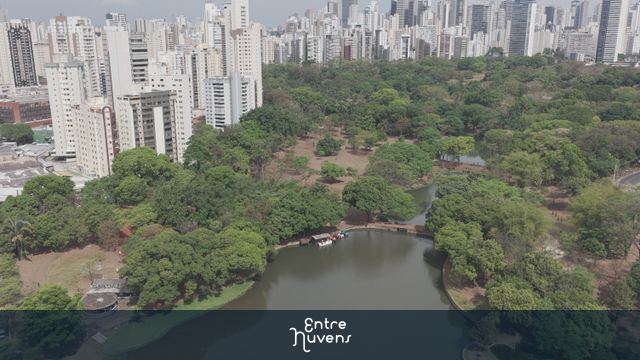 Parque urbano com lago e skyline ao fundo