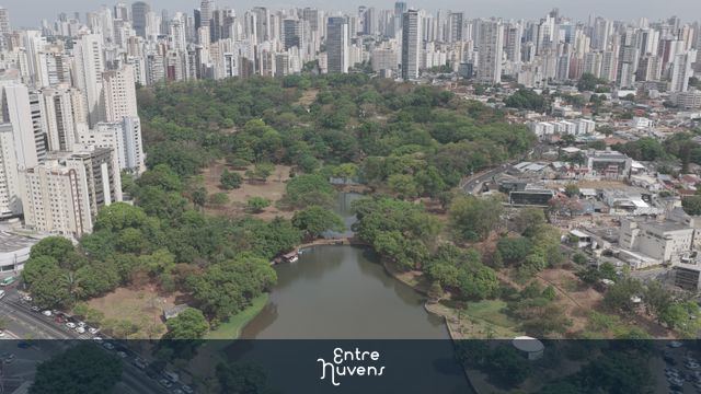 Parque urbano com lago em meio a arranha-céus