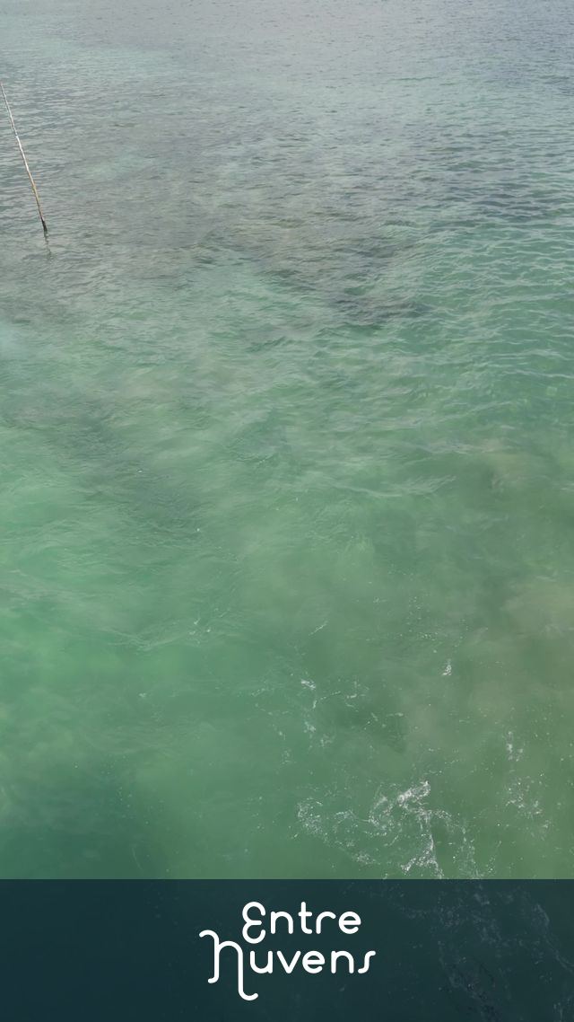 Passagem da Canoa em aguas cristalinas com tons de verde — vídeo aéreo de Maceió