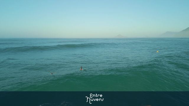 pássaro sobrevoando a praia, seguindo o drone