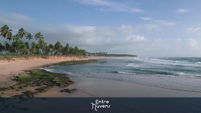 Passeando pela Praia do Forte com areia clara, água do mar azul com pequenas ondas, coqueiros na beira e céu azul.